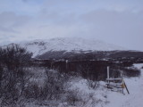 DSC07748.JPG