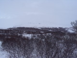 DSC07750.JPG