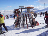 DSC08013.JPG