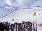 DSC08014.JPG