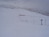 DSC08117.JPG