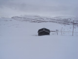 DSC08125.JPG