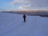 DSC08261.JPG