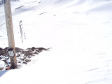DSC08289.JPG