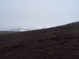 DSC08369.JPG