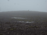 DSC08370.JPG
