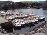 DSC08820.JPG