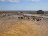 DSC08875.JPG