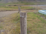 DSC09694.JPG