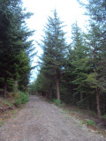 DSC09732.JPG