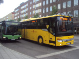 DSC00767.JPG