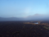 DSC00879.JPG