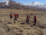 DSC02016.JPG
