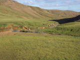 DSC02287.JPG
