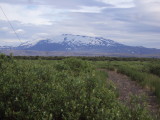 DSC02479.JPG