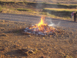 DSC02881.JPG