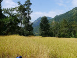 P1060725.jpg