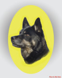 Ranger