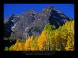 MAROON BELLS