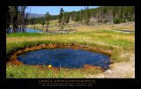 YELLOWSTONE NP