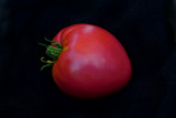 Oxheart Pink Heirloom Tomato