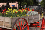 A Savannah Flower Cart