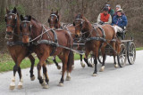 Springton Manor Carriage Ride