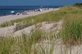 Cape May Point Beach (228)