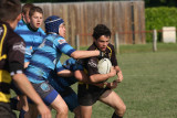 ASUB_Rugby_Orthez2011_406_800.jpg