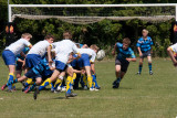ASUB_Rugby_Wihogne_20110521_230_800.jpg