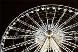 Ferris Wheel 4795