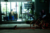 Night Stalker Bangkok: Guardian