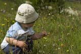 S2 picking flowers