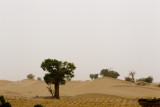 Taklamakan Desert ��J�Ժ��F�F�z