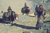 Nomads at Karo La Pass