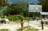 Tomok