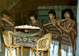 Toba Troubadours Live in Parapat