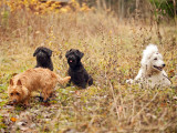 Groupshot November 3