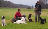 21/11 Groupshot from todays dog-walk.