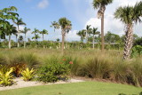 Naples Botanical Gardens