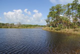 Naples Botanical Gardens