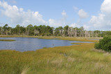 Naples Botanical Gardens