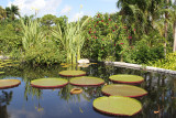 Naples Botanical Gardens