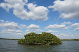 Naples, Florida