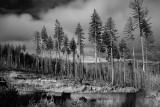 Wilhorse, Siskiyou National Forest