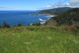 Whaleshead Beach Landscape