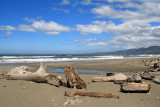 Brookings/Harbor, OR from Kampf Park