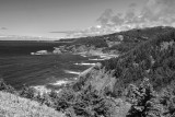 Whaleshead Beach