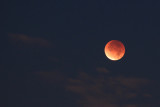  Lunar Eclipse 10 DEC 2011