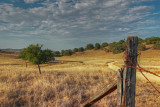 Santa Rose Plateau Reserve